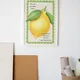 White Framed__TUSHAR FRAMES