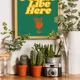 Wooden Framed__TUSHAR FRAMES