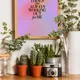 Wooden Framed__TUSHAR FRAMES
