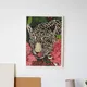 White Framed__TUSHAR FRAMES