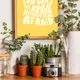 Wooden Framed__TUSHAR FRAMES