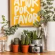 Wooden Framed__TUSHAR FRAMES