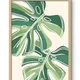 Wooden Framed__TUSHAR FRAMES