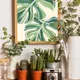 Wooden Framed__TUSHAR FRAMES