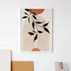 White Framed__TUSHAR FRAMES