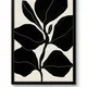 Black Framed__TUSHAR FRAMES