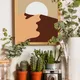 Wooden Framed__TUSHAR FRAMES