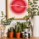 Wooden Framed__TUSHAR FRAMES