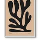 White Framed__TUSHAR FRAMES