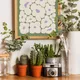 Wooden Framed__TUSHAR FRAMES