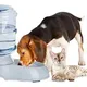 Pet Water Bowl__Roy Enterprise