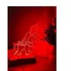 RED__GiftZoro