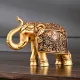 Golden (Single)__Shopping Uncle