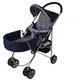 Multicolor__Infanto