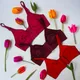 Red, Rani, Maroon__Piylu