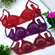 Purple, Maroon, Red__Piylu