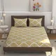 Beige__Verma Enterprises