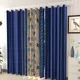 Blue__Verma Enterprises