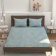 Blue__Verma Enterprises