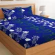 Blue and White__Verma Enterprises