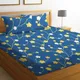 Blue and Yellow Flower__Verma Enterprises