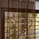 Brown__Verma Enterprises