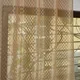 Chikoo__Verma Enterprises