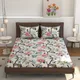 Cream__Verma Enterprises