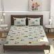 Cream__Verma Enterprises