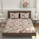 Cream__Verma Enterprises