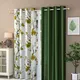 DarkGreen__Verma Enterprises