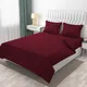 Maroon__Verma Enterprises