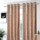 Maroon__Verma Enterprises