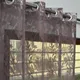 Wine__Verma Enterprises
