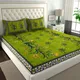 Green__Clothology