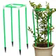 Green__Trelliskart