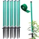 Set Of 10__Trelliskart