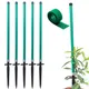 Set Of 5__Trelliskart