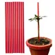 Red__Trelliskart