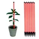 Pack of 10__Trelliskart