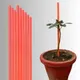 Orange__Trelliskart