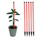Pack of 5__Trelliskart