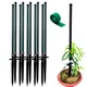 Set of 10__Trelliskart