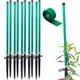 Set of 10__Trelliskart