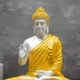 Yellow__DHAANYA