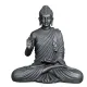 Metallic__DHAANYA