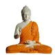 Orange__DHAANYA