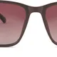 Brown__Sunflaire