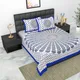 White & Blue__Indiazzo