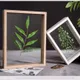 No_Leaf_Rect_8x12in_Wood__Desi Rang